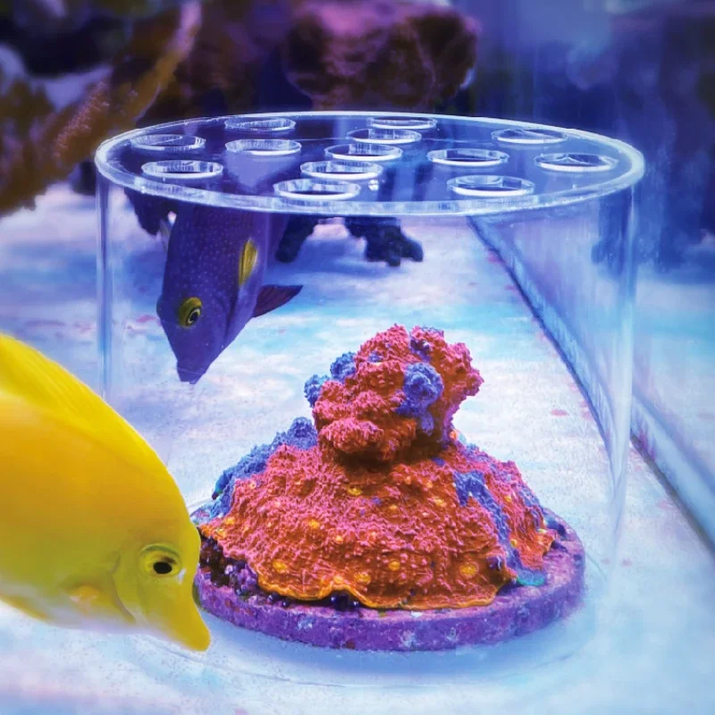 Aquarium Fish Feeder - Vastocean Aquarium Arcylic Coral Feeder Hood