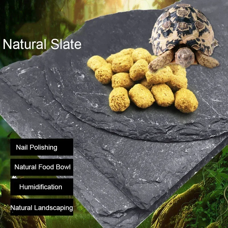 Natural Slate Aquarium Pet Rep - Aquarium Fish Feeder 评论和价格