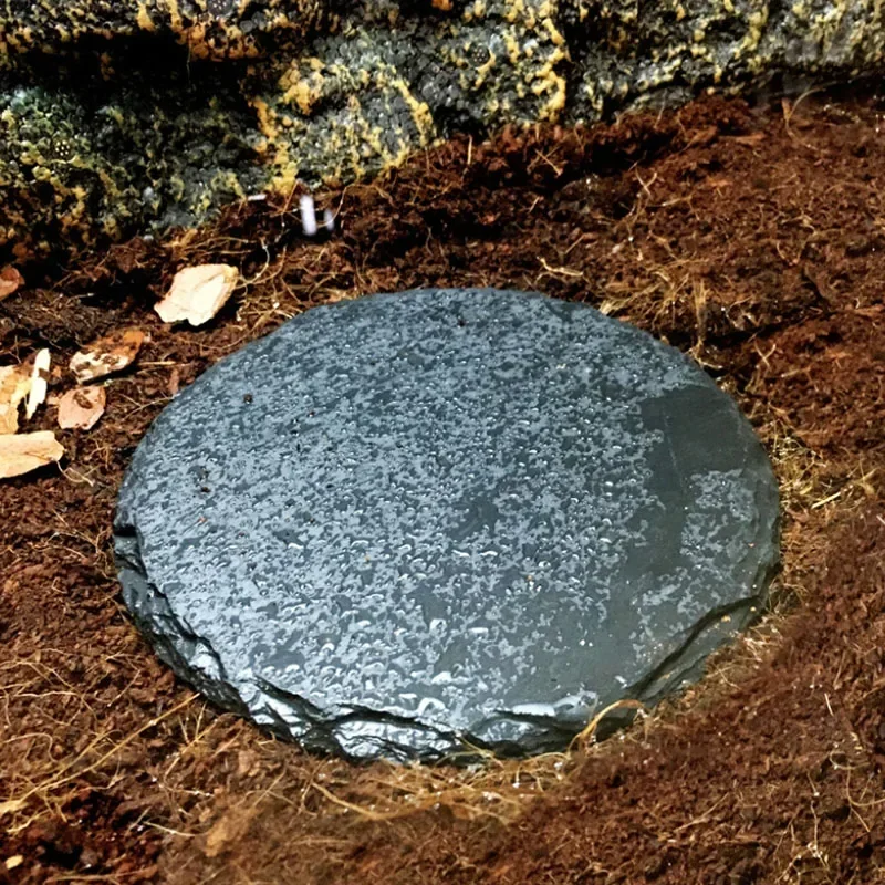 Natural Slate Aquarium Pet Rep - Aquarium Fish Feeder 评论和价格