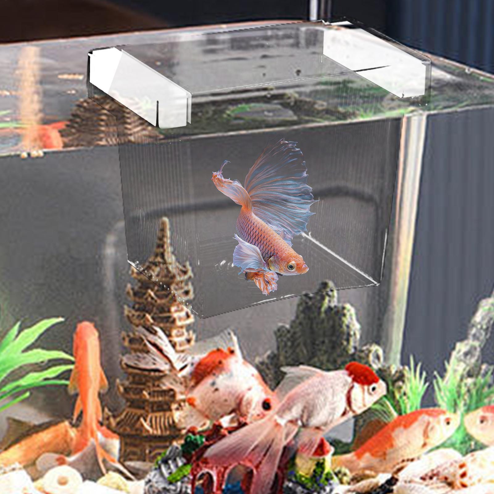 Floating Fish Breeding Isolati - Aquarium Fish Feeder 评论和价格