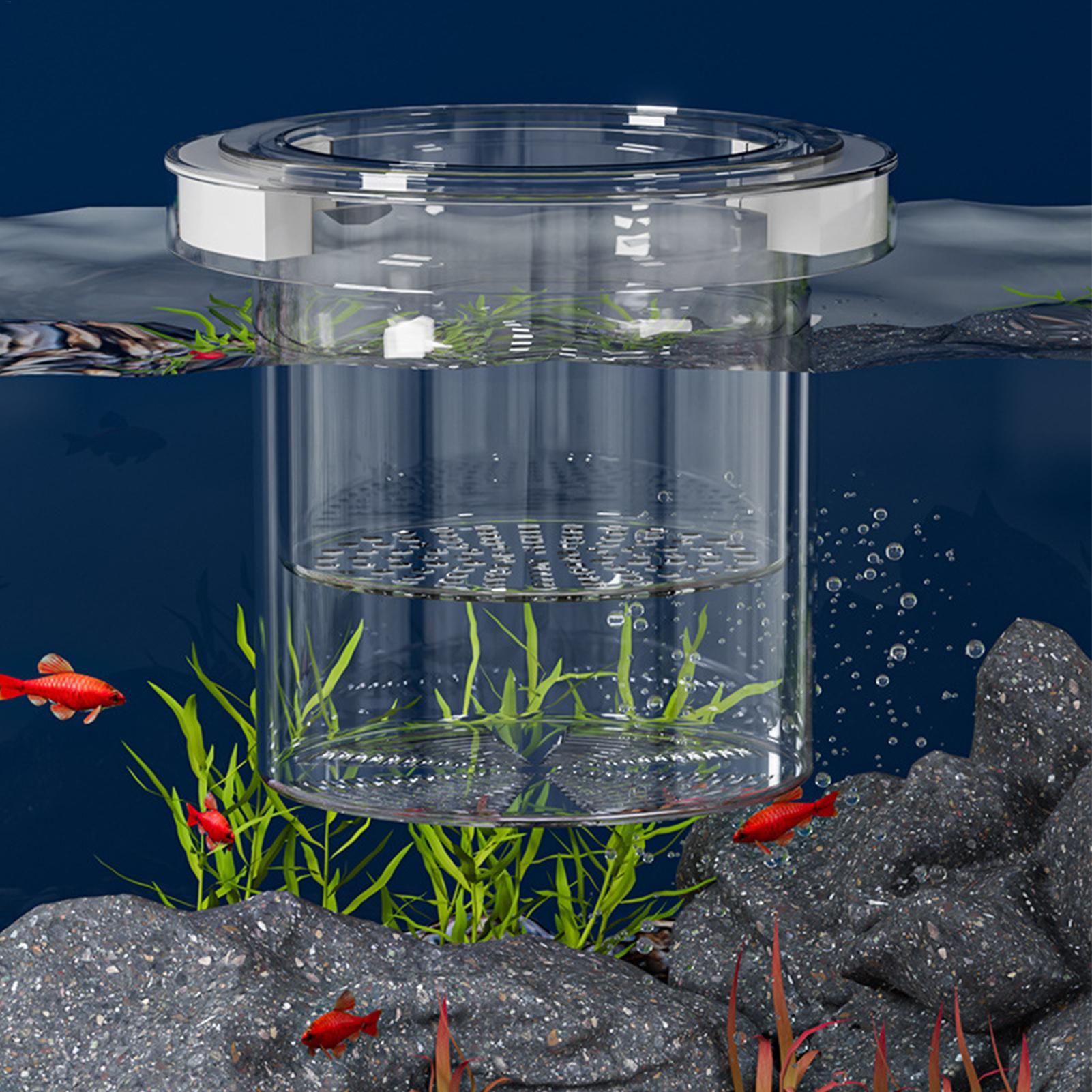 Floating Fish Breeding Isolati - Aquarium Fish Feeder 评论和价格
