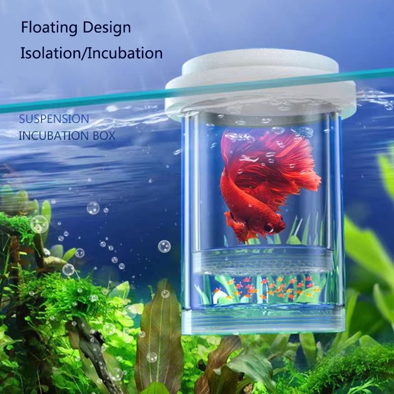Plastic Floating Fish Breeding - Aquarium Fish Feeder 评论和价格