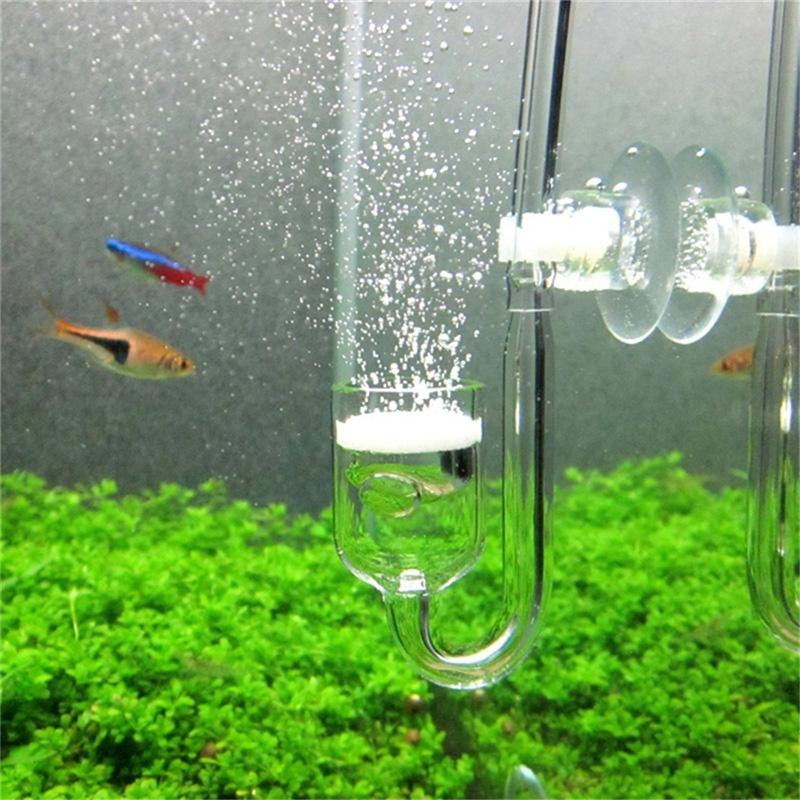 U Shaped Glass CO2 Diffusers A - Aquarium Fish Discus 评论和价格