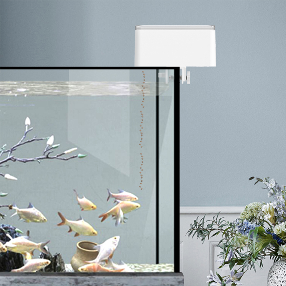 100ML Large Capacity Fish Feed - Aquarium Fish Feeder 评论和价格