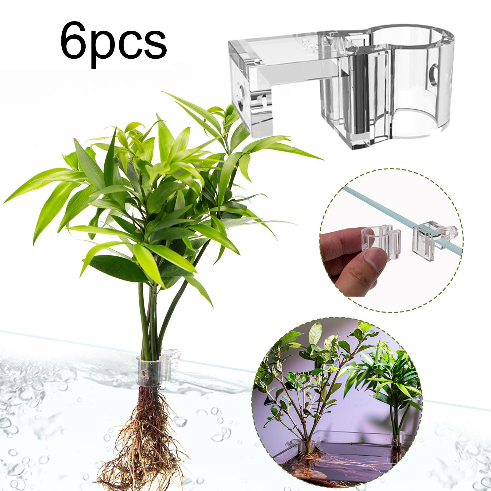 6Pcs Aquarium Plant Holder Sup - Aquarium Fish Feeder 评论和价格