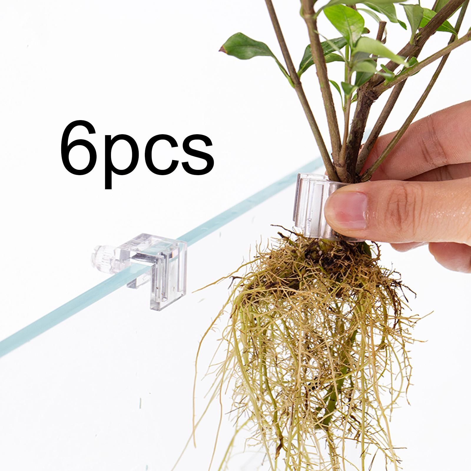 6Pcs Aquarium Plant Holder Sup - Aquarium Fish Feeder 评论和价格