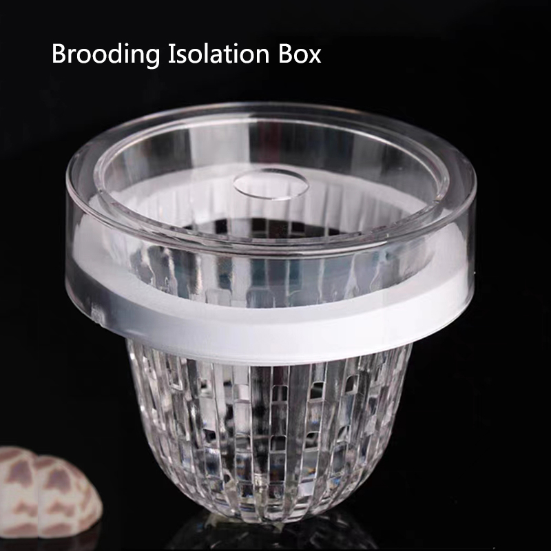 Acrylic Floating Fish Breeding - Aquarium Fish Feeder 评论和价格