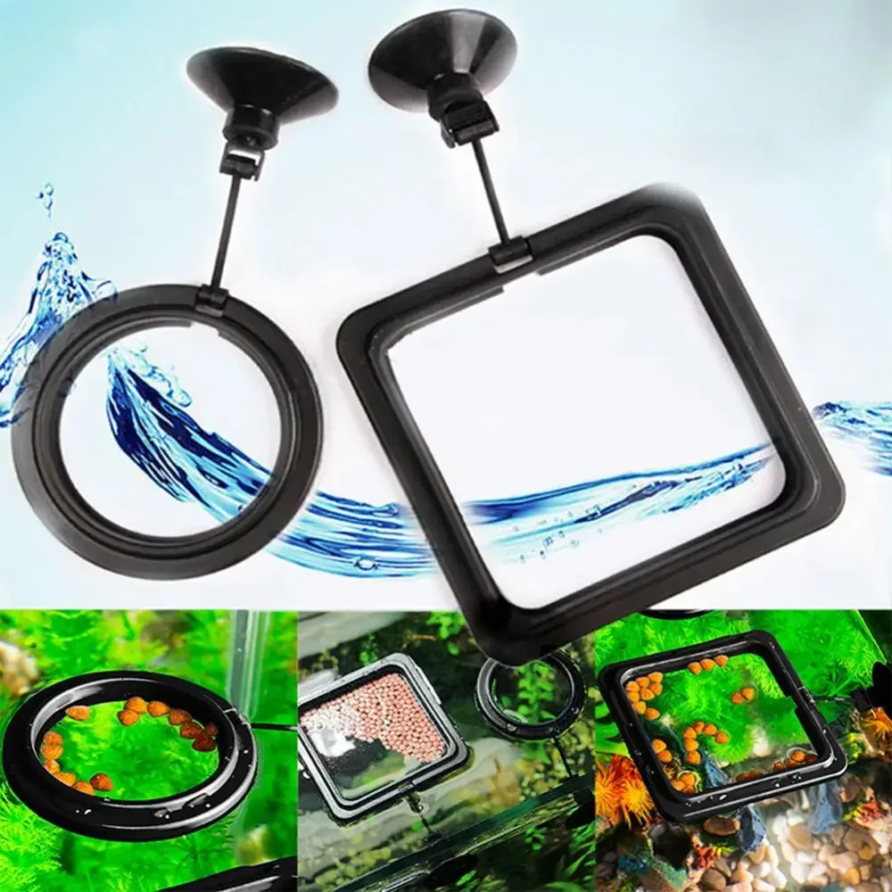 Feed Suction Cup Aquarium Feed - Aquarium Fish Feeder 评论和价格