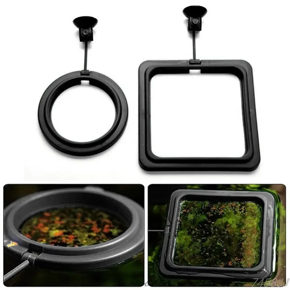 Feed Suction Cup Aquarium Feed - Aquarium Fish Feeder 评论和价格