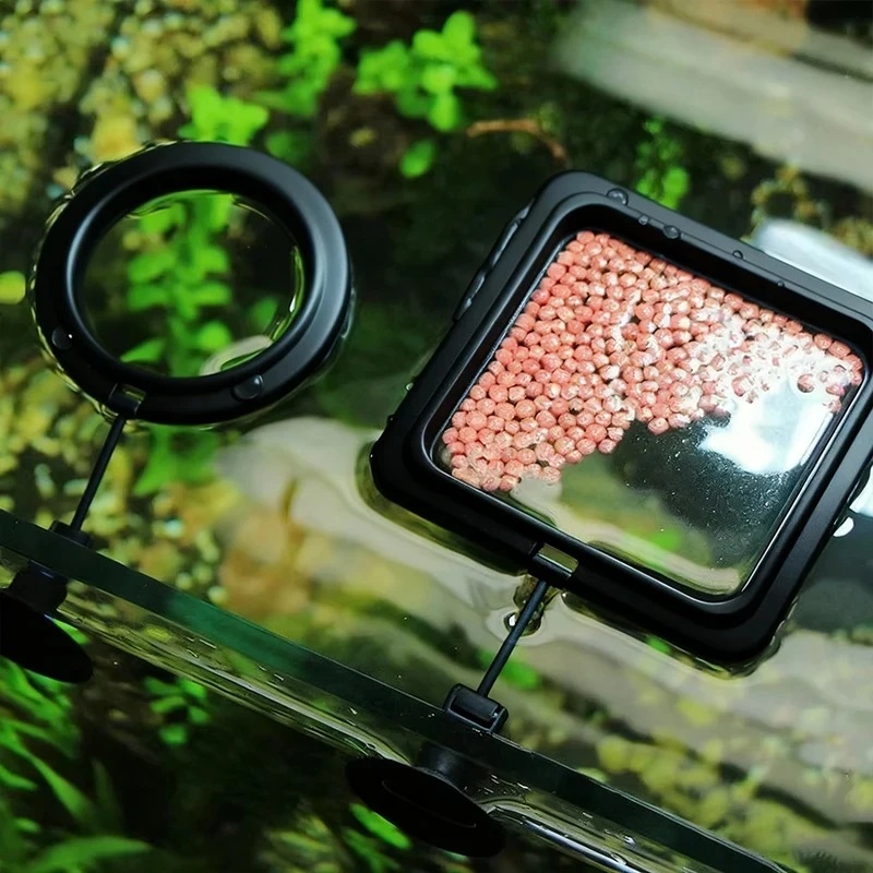 1/3pcs Aquarium Fish Feeding R - Aquarium Fish Feeder 评论和价格
