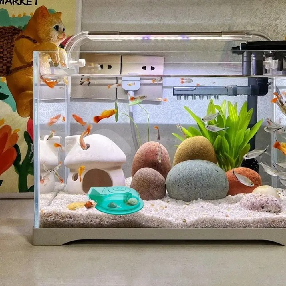 Freshwater Saltwater Aquarium  - Aquarium Fish Trap 评论和价格