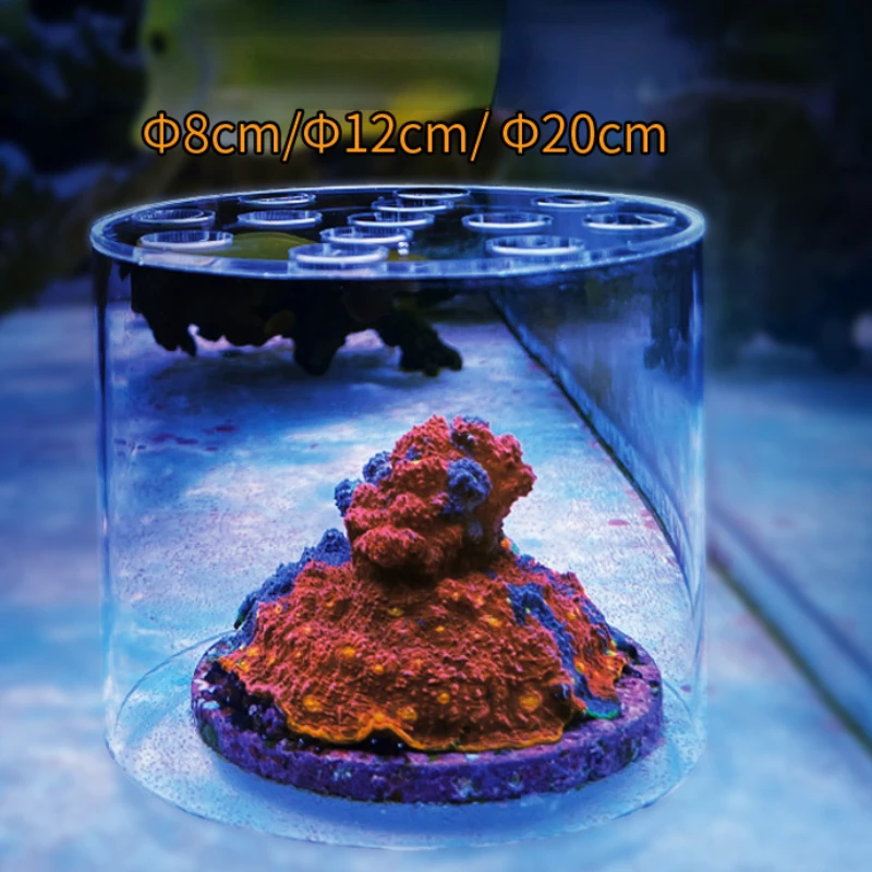 Vastocean Aquarium Arcylic Cor - Aquarium Fish Feeder 评论和价格