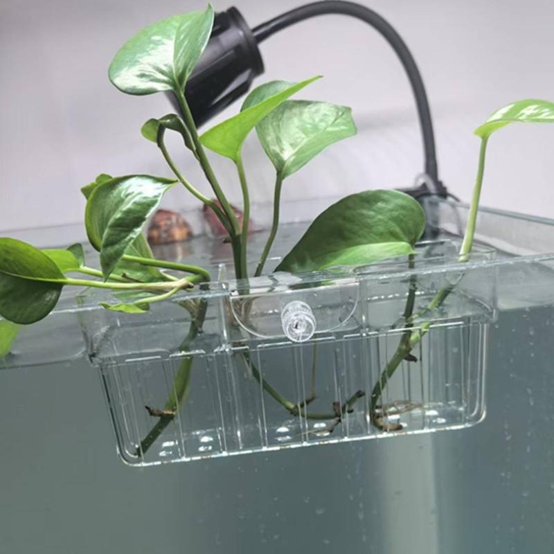 Hydroponic Plant Basket Food G - Aquarium Fish In 评论和价格
