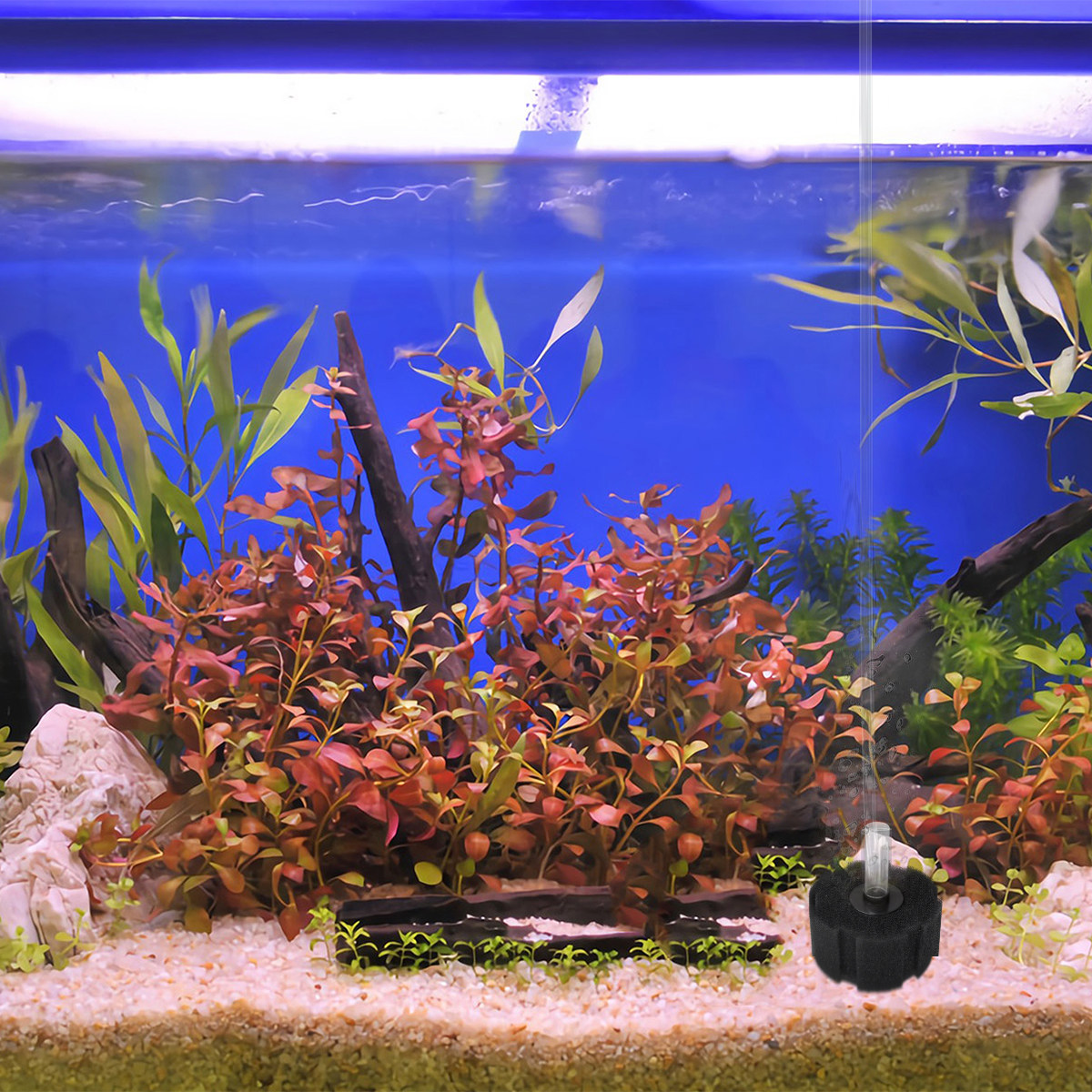 Aquarium Filter 260g Black Bio - Aquarium Fish Discus 评论和价格