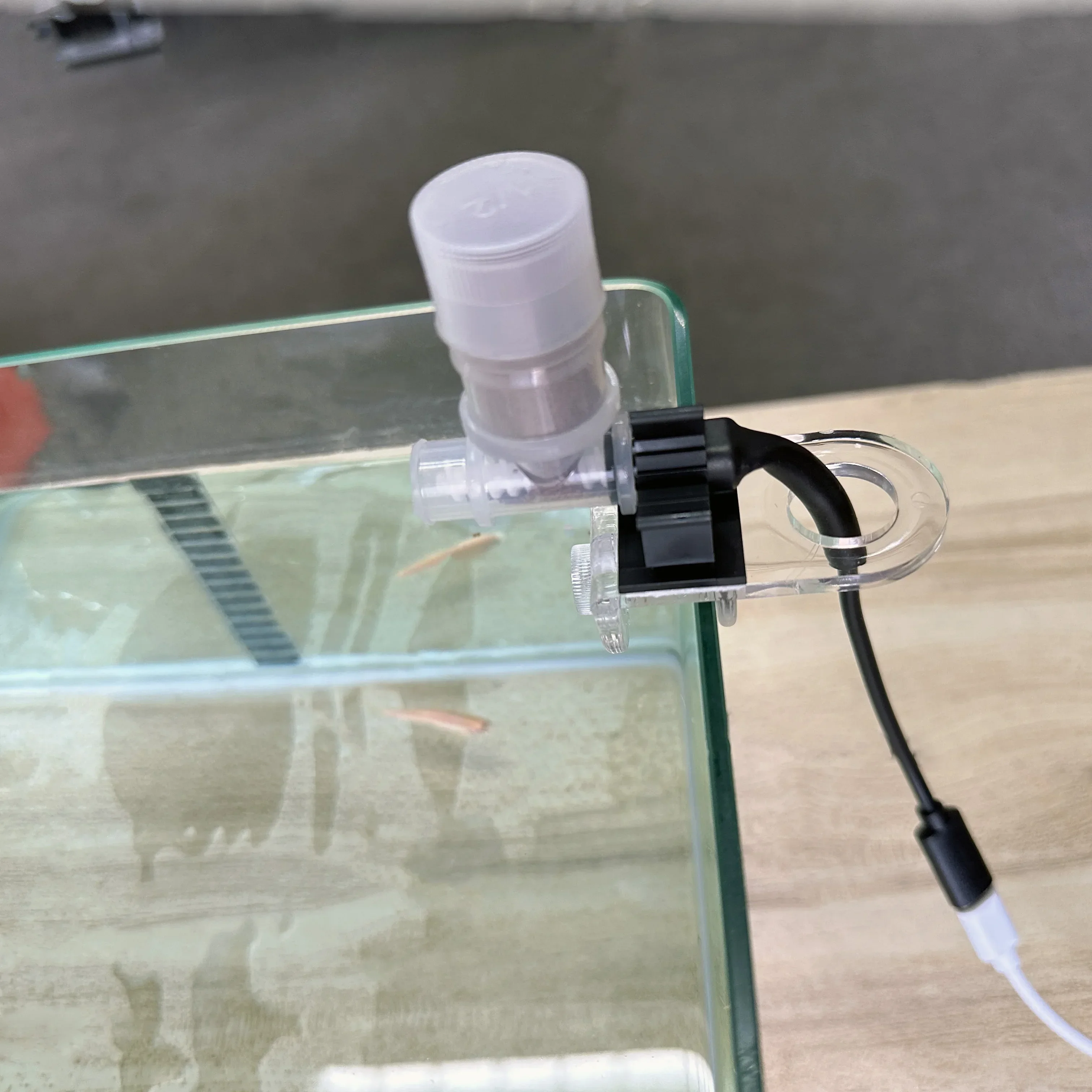 Best Automatic Fish Feeder - W - Aquarium Fish Feeder 评论和价格