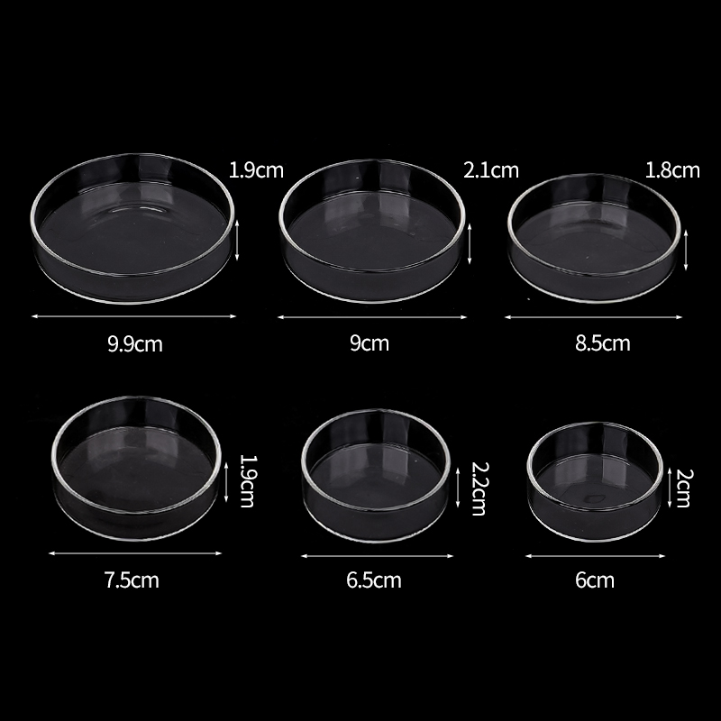 Shrimp Feeding Dish High Trans - Aquarium Fish Feeder 评论和价格