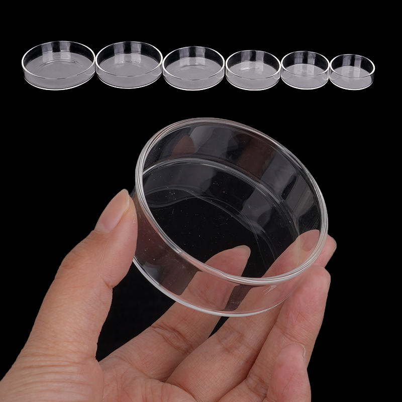 Shrimp Feeding Dish High Trans - Aquarium Fish Feeder 评论和价格
