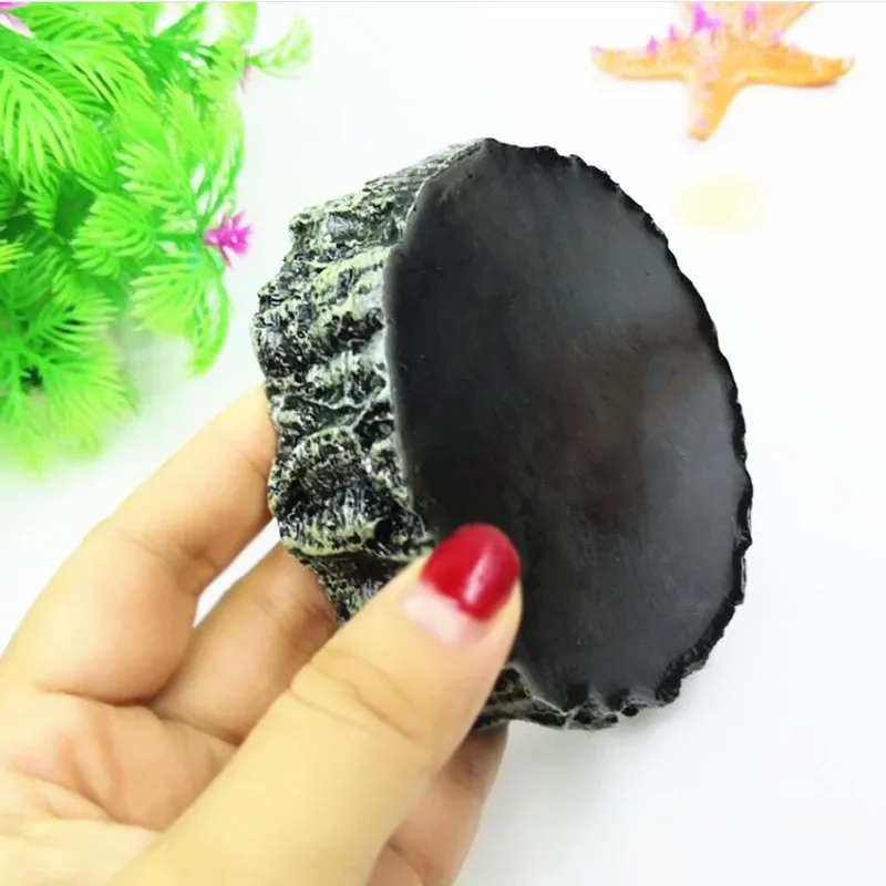 Pet Reptile Feeder Bowl Resin  - Aquarium Fish Feeder 评论和价格