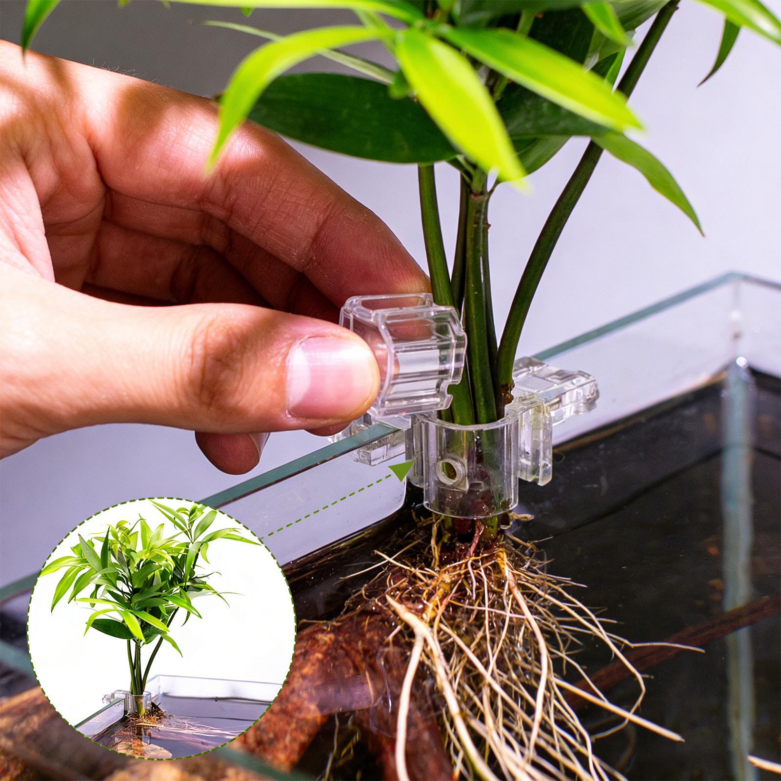 Mini Fish Tank Planter Pot 6Pc - Aquarium Fish Feeder 评论和价格