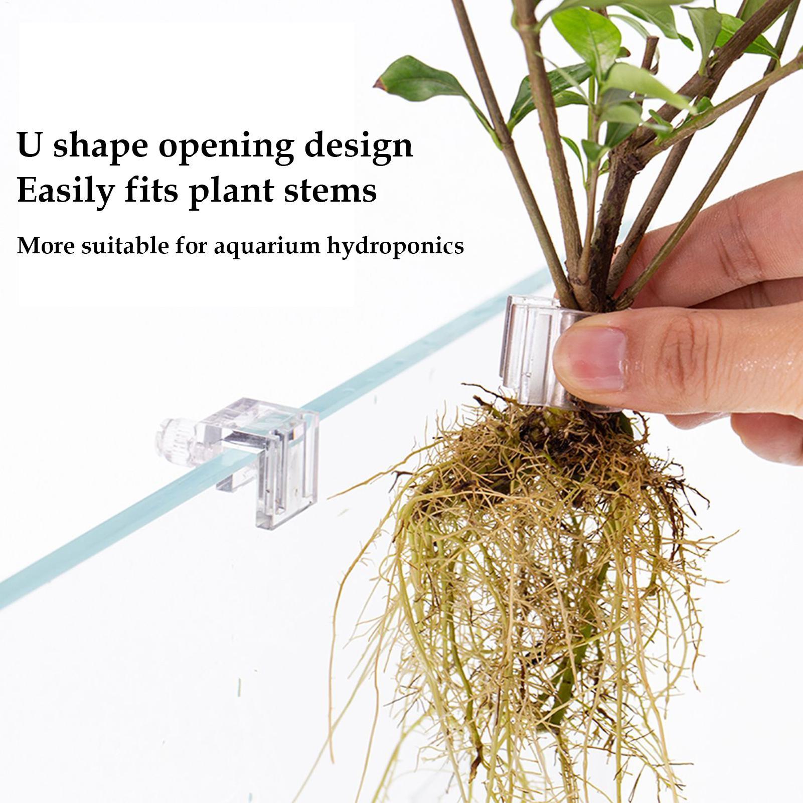 Mini Fish Tank Planter Pot 6Pc - Aquarium Fish Feeder 评论和价格