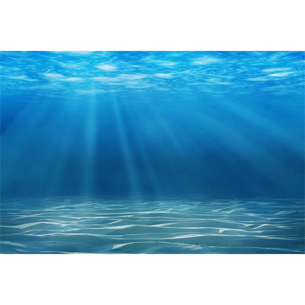 Underwater World Seabed Photog - Aquarium Fish World 评论和价格