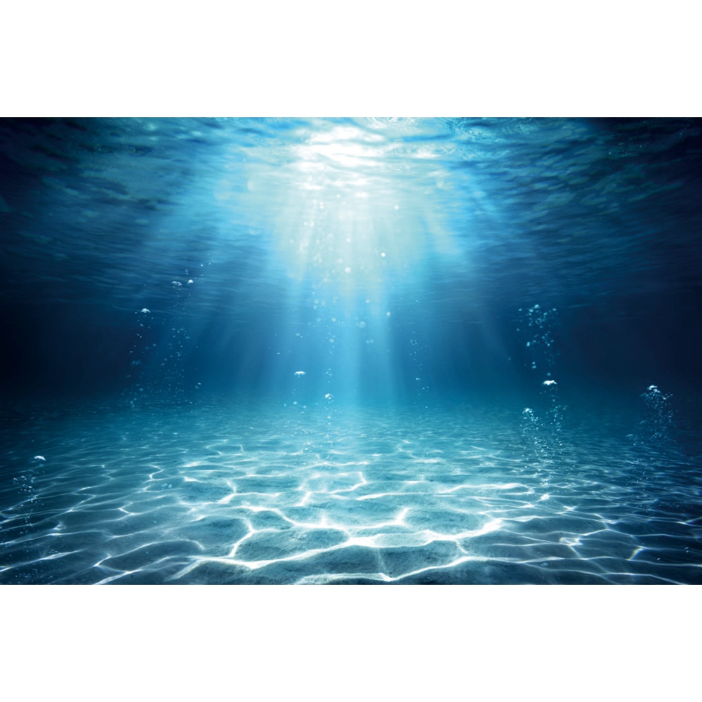 Underwater World Seabed Photog - Aquarium Fish World 评论和价格