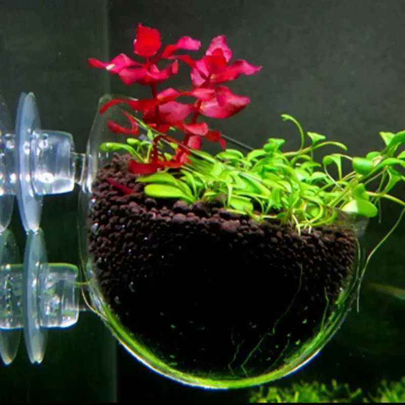 Clear Aquatic Plant Cup With S - Aquarium Fish Feeder 评论和价格