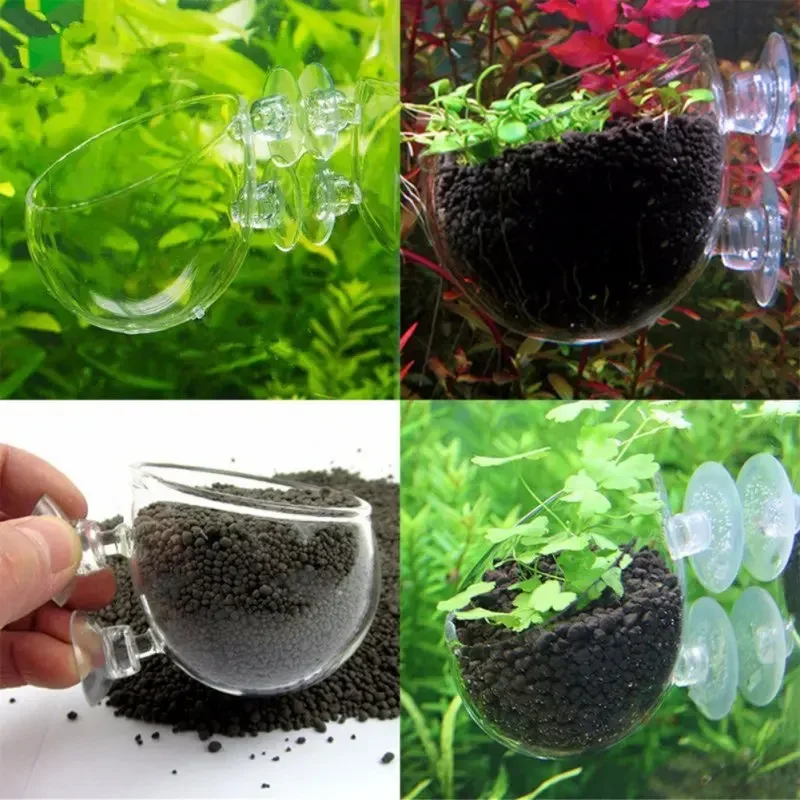 Clear Aquatic Plant Cup With S - Aquarium Fish Feeder 评论和价格