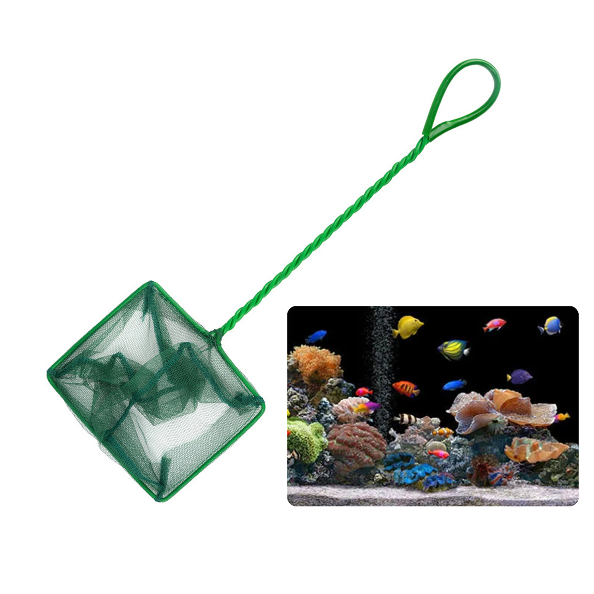 3~10 Inch Portable Nylon Green - Aquarium Fish Trap 评论和价格