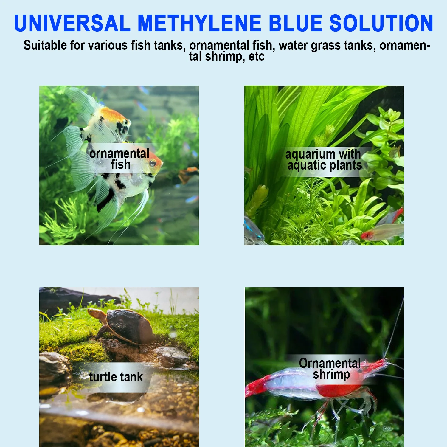 Aquarium Methylene Blue Fish M - Aquarium Fish Parasites 评论和价格