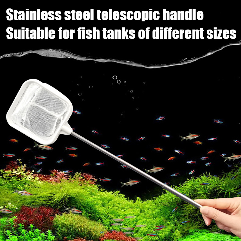 1PC Stainless Steel Telescopic - Aquarium Fish Trap 评论和价格