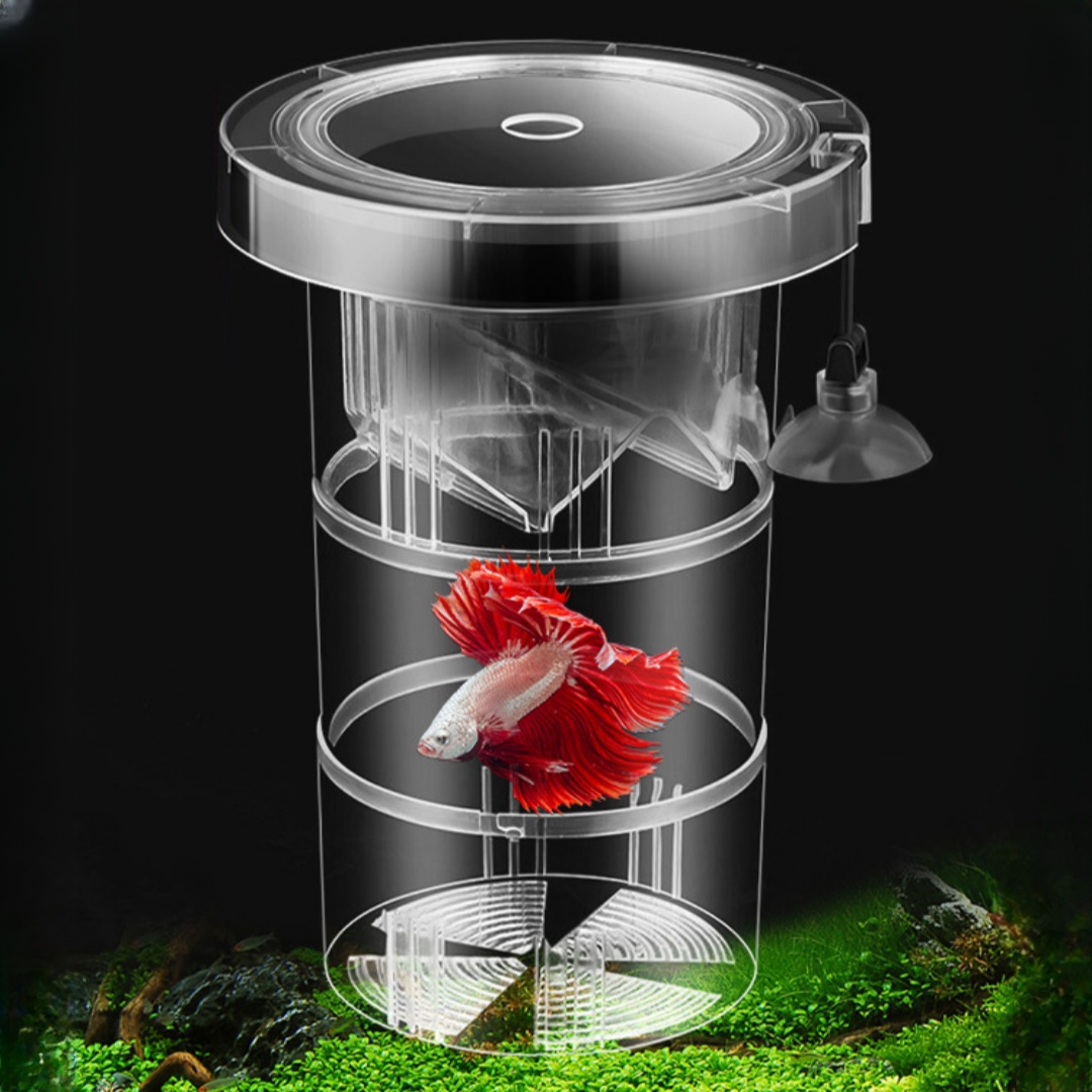 Acrylic Floating Fish Breeding - Aquarium Fish Feeder 评论和价格