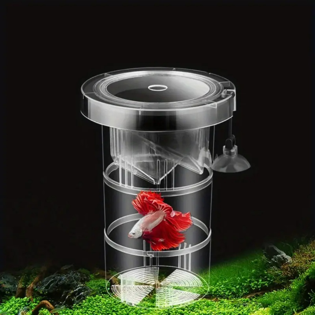 Acrylic Floating Fish Breeding - Aquarium Fish Feeder 评论和价格