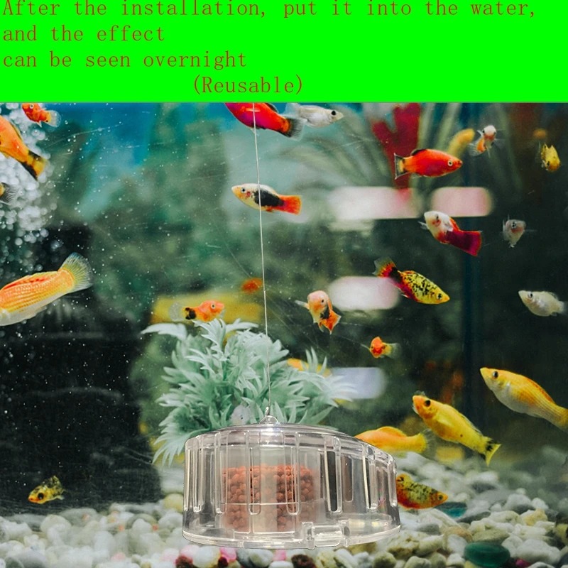 Aquarium Plant Snail Trap Catc - Aquarium Fish Trap 评论和价格