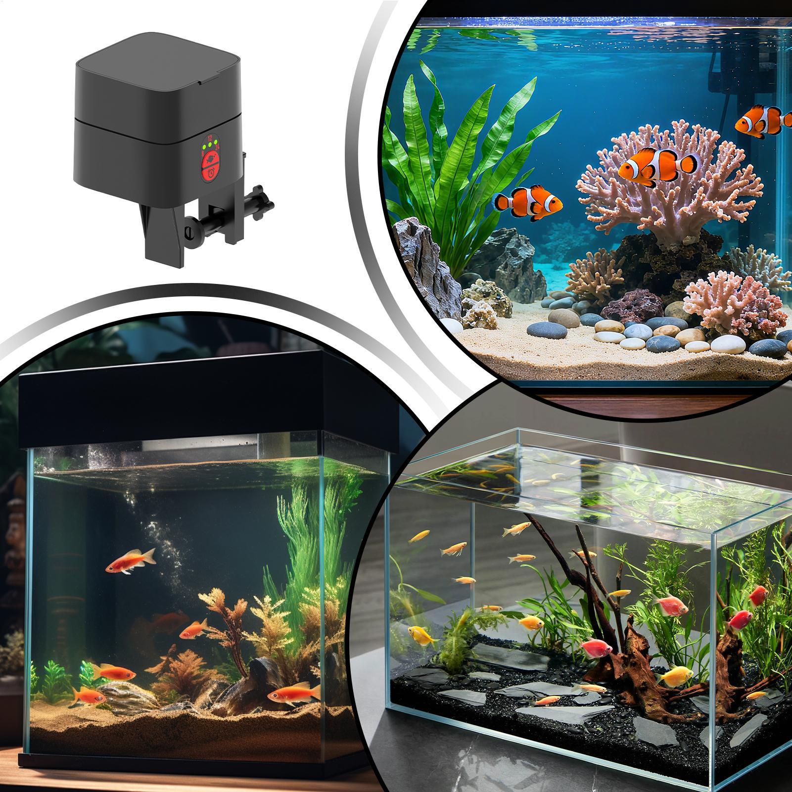 Auto Fish Feeder For Aquarium  - Aquarium Fish Feeder 评论和价格