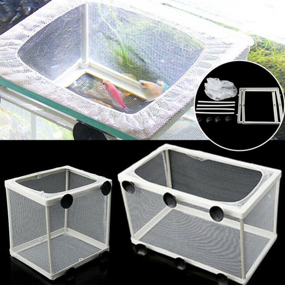 Hatchery Isolation Box for Aqu - Aquarium Fish Trap 评论和价格