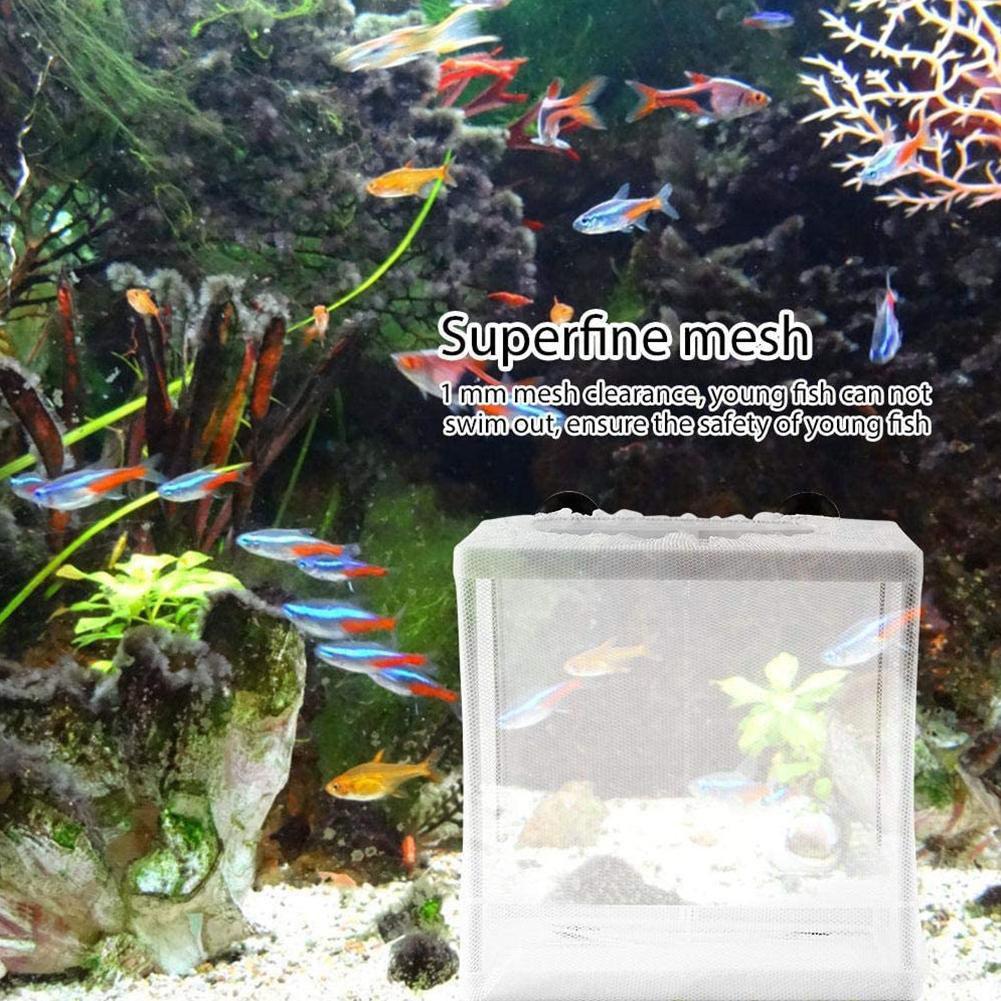 Hatchery Isolation Box for Aqu - Aquarium Fish Trap 评论和价格