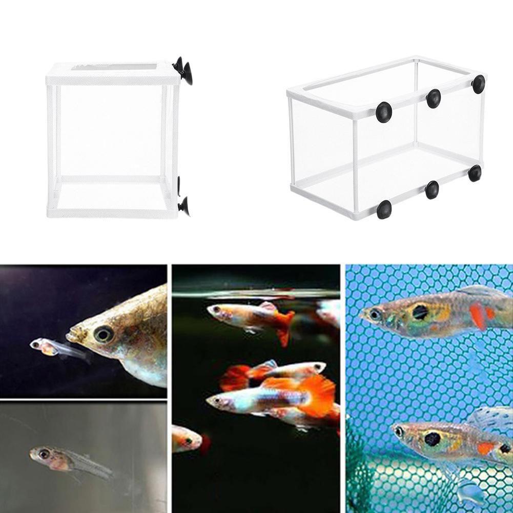 Hatchery Isolation Box for Aqu - Aquarium Fish Trap 评论和价格