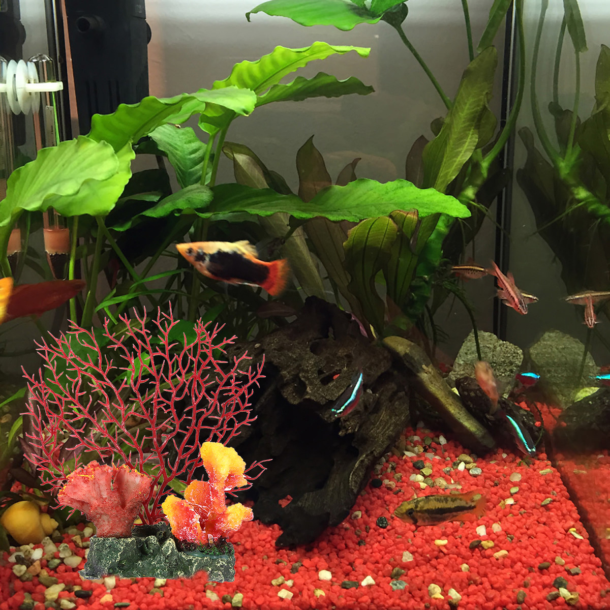 Underwater Coral Ornament for  - Aquarium Fish World 评论和价格